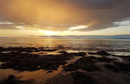 CABIN 8 Pet friendly Family glamping Seaview - Photo 20