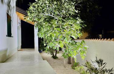 Mare`s Private House 1st floor with Pool - Foto 19