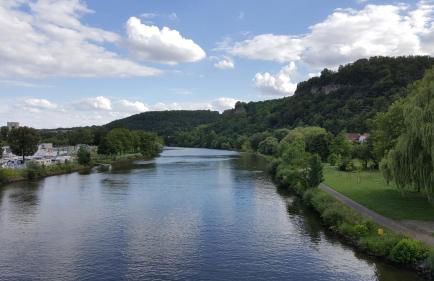 Direkt am Main - Foto 22