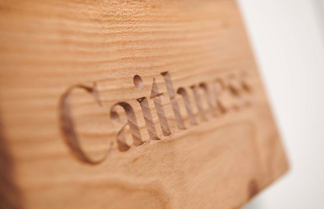 Downright Gabbler - Foto 19