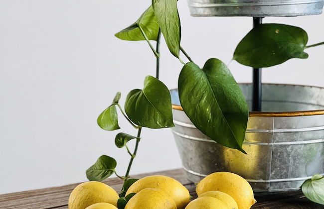 Accademia 39 - Foto 58