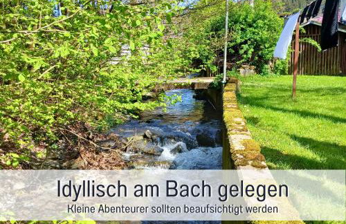 Ferienwohnung im Sauerland Hunde willkommen Kamin und Garten am Waldrand Muehls-Sauerland - Foto 44