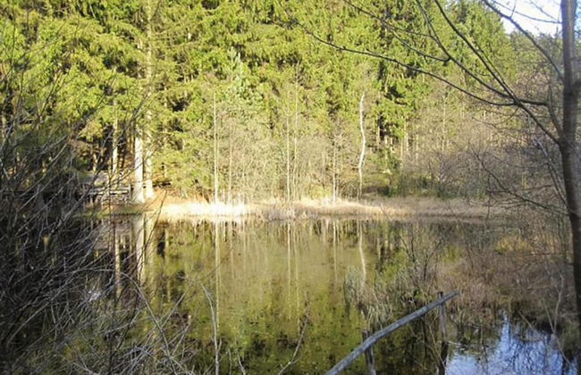 Holiday Home in Lissendorf by Forest - Photo 34