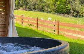 Dom na Zielonym Wzgórzu z własną Sauną i Jacuzzi - Foto 67