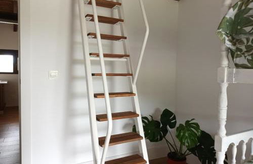 Rural Norte - Foto 58