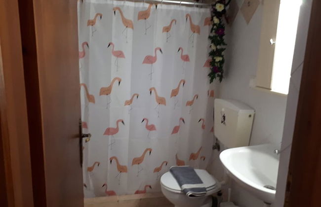 Antonia House - Photo 29