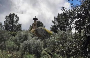 Tapada da Rabela - Reserva Natural - Foto 30