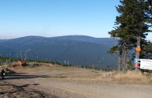 Gemütliche Ferienwohnung bei Braunlage - Foto 5