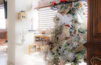 Drago by AGM Resorts - Foto 53