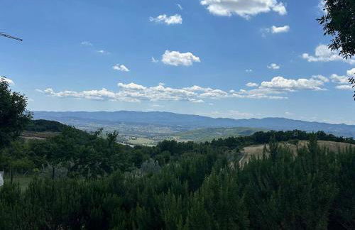 I Poggi di Belvedere - Photo 12