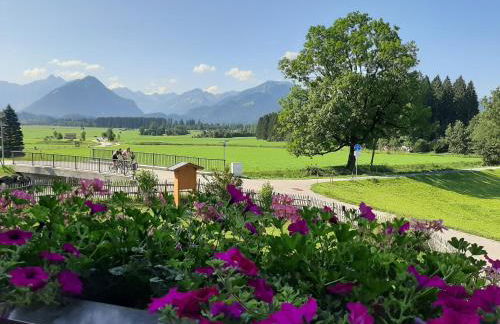 Landhaus Bergkristall - Sommer Bergbahnen inklusive - Photo 9