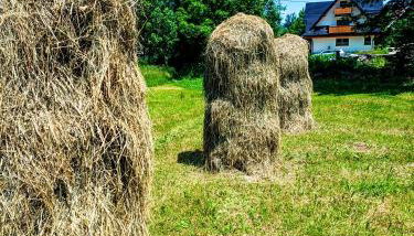 Tatra Apartament - Foto 3