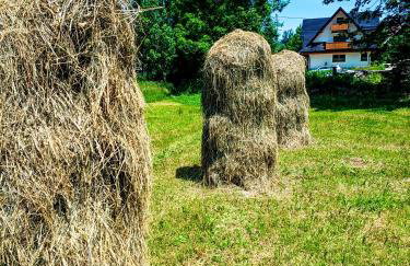 Tatra Apartament - Foto 3