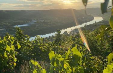 Apartment an der Mosel 1 - Foto 23