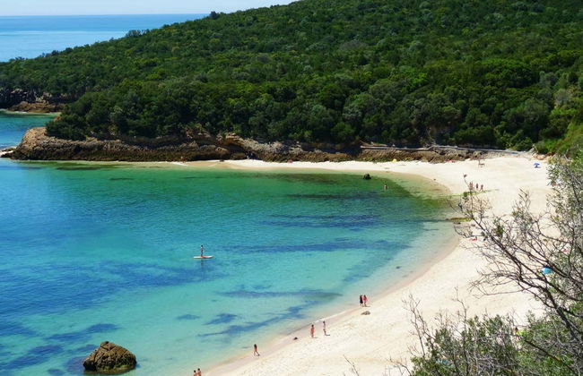 Balade en bateau privée à Arrábida - Photo 3