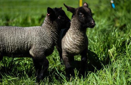 Naturesbase Lodge - Photo 26