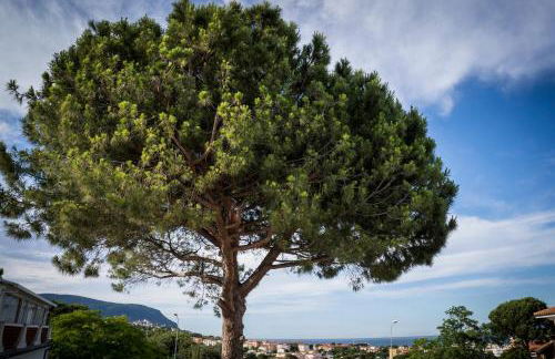 Balconi Del Conero - Foto 14