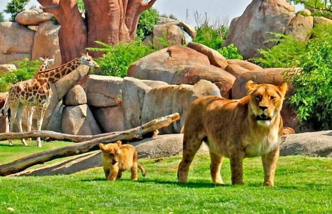 Adarve Flats - Foto 47