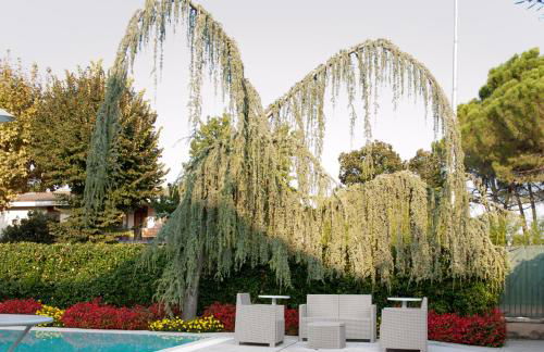 Villa Orange - Foto 17