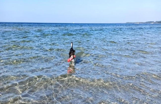 Cozy Holiday Home in Hohenkirchen near Baltic Sea - Foto 37