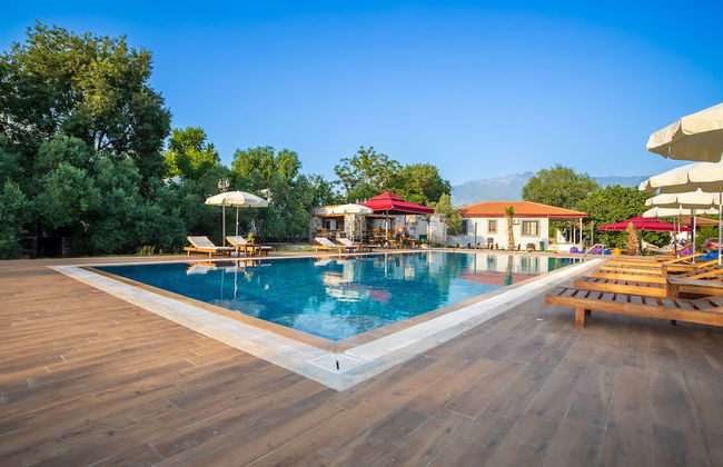 Lumos Homes - Photo 24