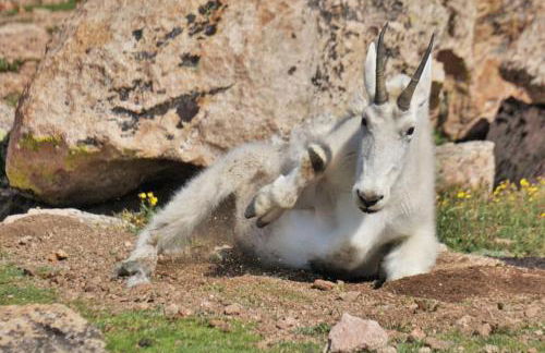 Amazing 3200Sq ft Upgrade Log Cbn GameRoom HotTub - Foto 36