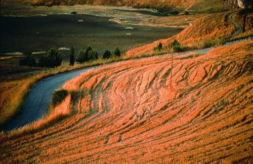 Agriturismo Monaco Di Mezzo - Foto 33