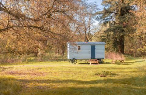 Bamff Ecotourism - Photo 13