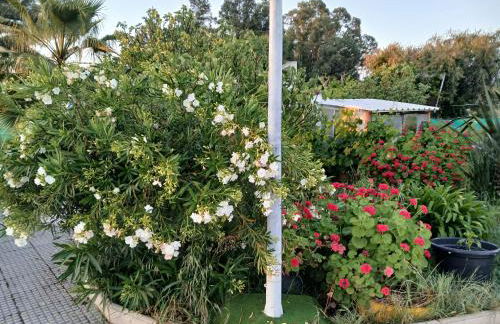 Casa de campo en finca La Guindilla - Foto 33