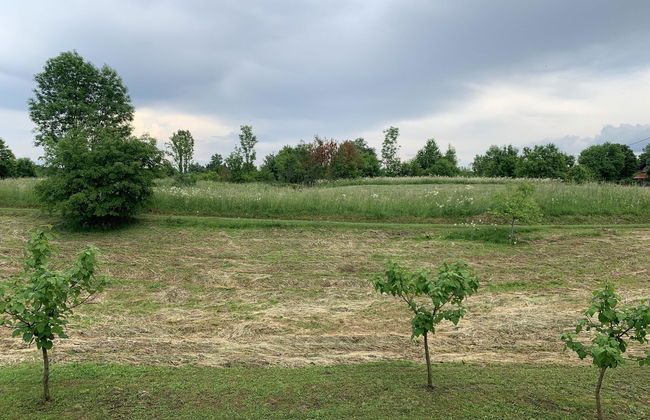 Villa Stone - Foto 74