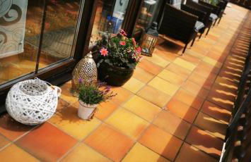 Friedrichsruh - Foto 2