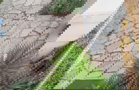 Nadica - sea View - A1 - Foto 12