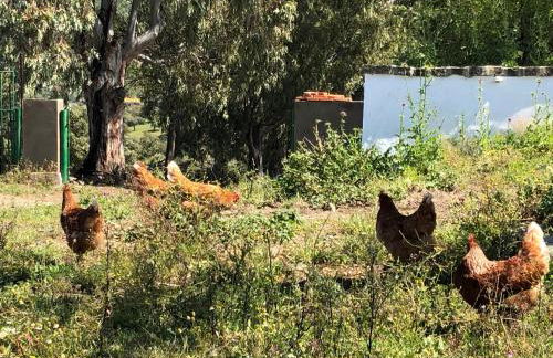 Casa Rural Monterrey Aroche - Foto 32