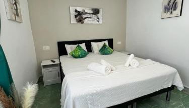 San Antonio - Photo 5