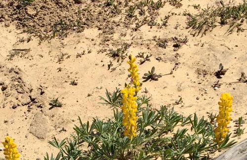 Your Vintage Townhouse - Foto 43