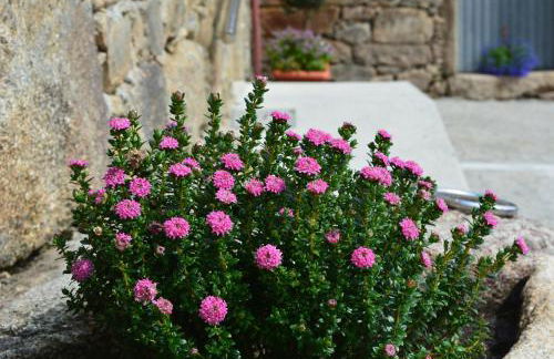 Casa de Valente - Camariñas - Foto 11