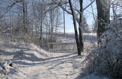 Lawendowa Dolina - Foto 9