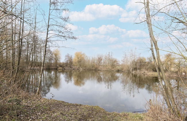 Spacious Holiday Home in Doische With Private Pool - Foto 45