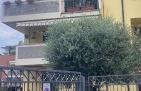 La chiocciola - Photo 28