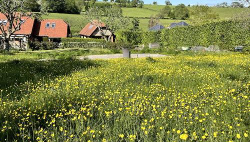 Little studio annexe - Foto 2