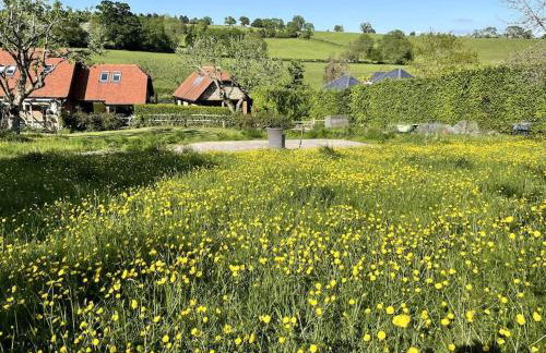 Little studio annexe - Foto 2