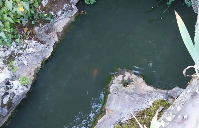 Holiday Home Gioia Christina - Foto 24