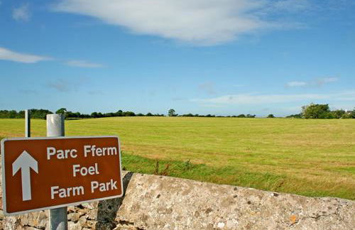 Foel Stable Cottage - Foto 11