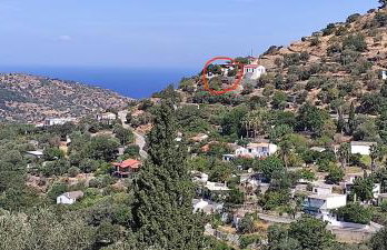 Joanna Studio - Photo 2