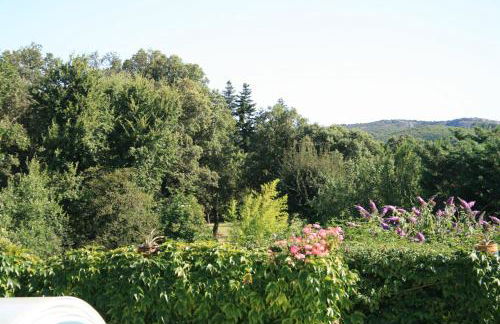 La Figalie - Foto 36