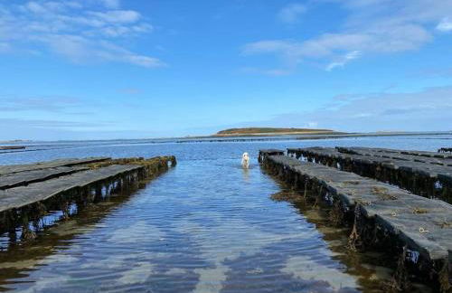 La maison des dunes - Proche plage Sainte Marguerite - Foto 44