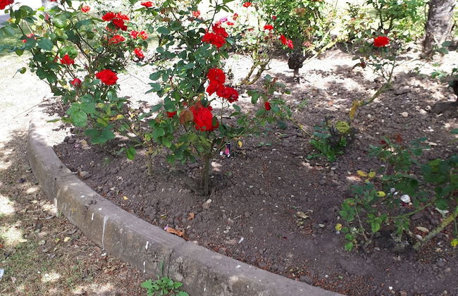 Cosy and Modern Chalet Near Norwich, England - Foto 36