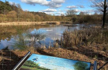 Apartment in Miesenbach - Foto 16