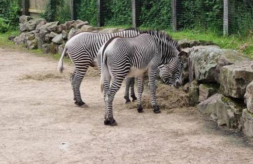 Cosy rental - Normandy - Foto 28