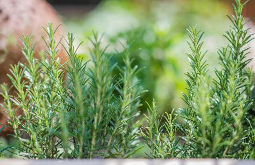 myLoisl Apartments - Photo 47